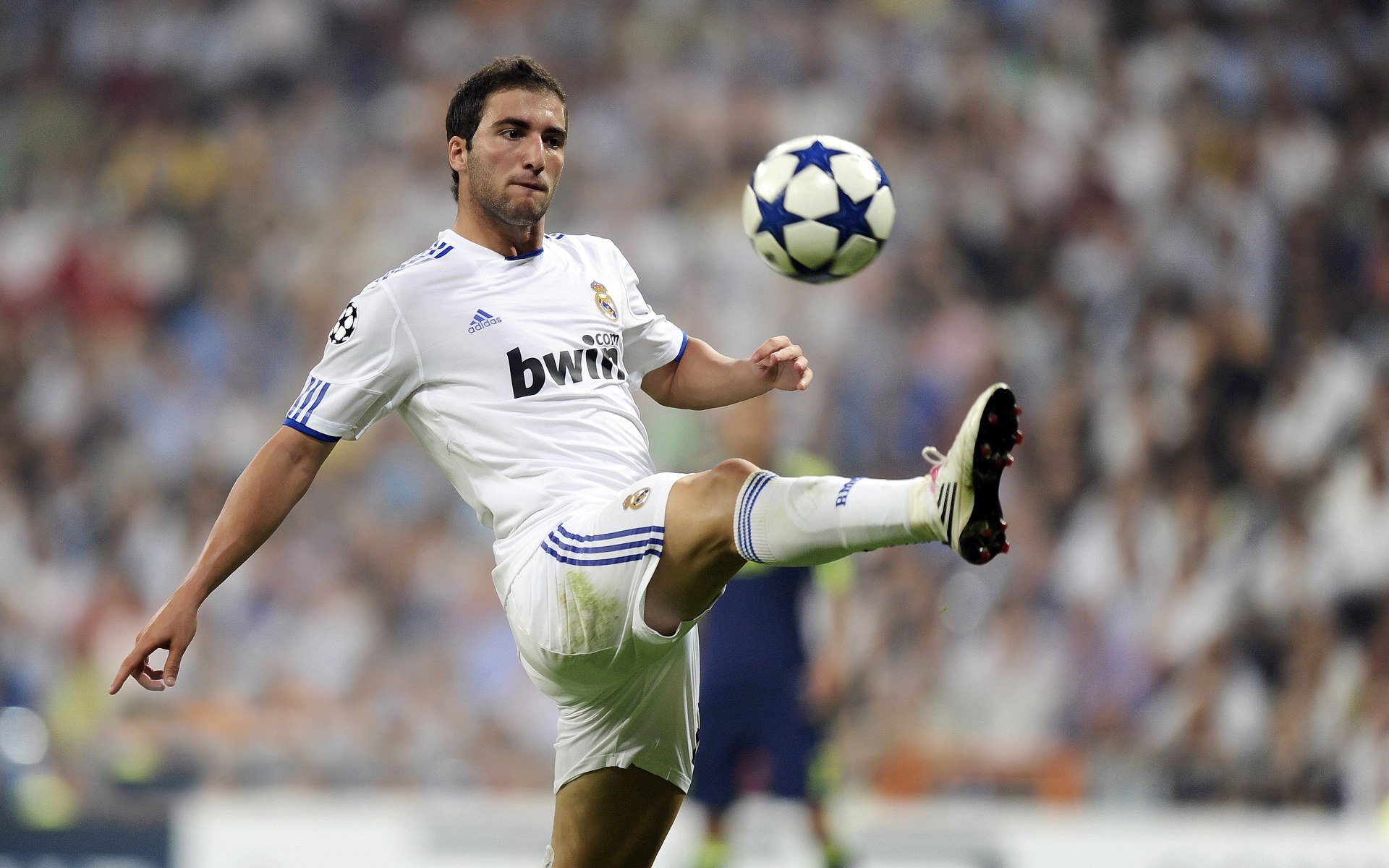 美洲队青训球员升入一线队，展现潜力，美洲球队有哪些