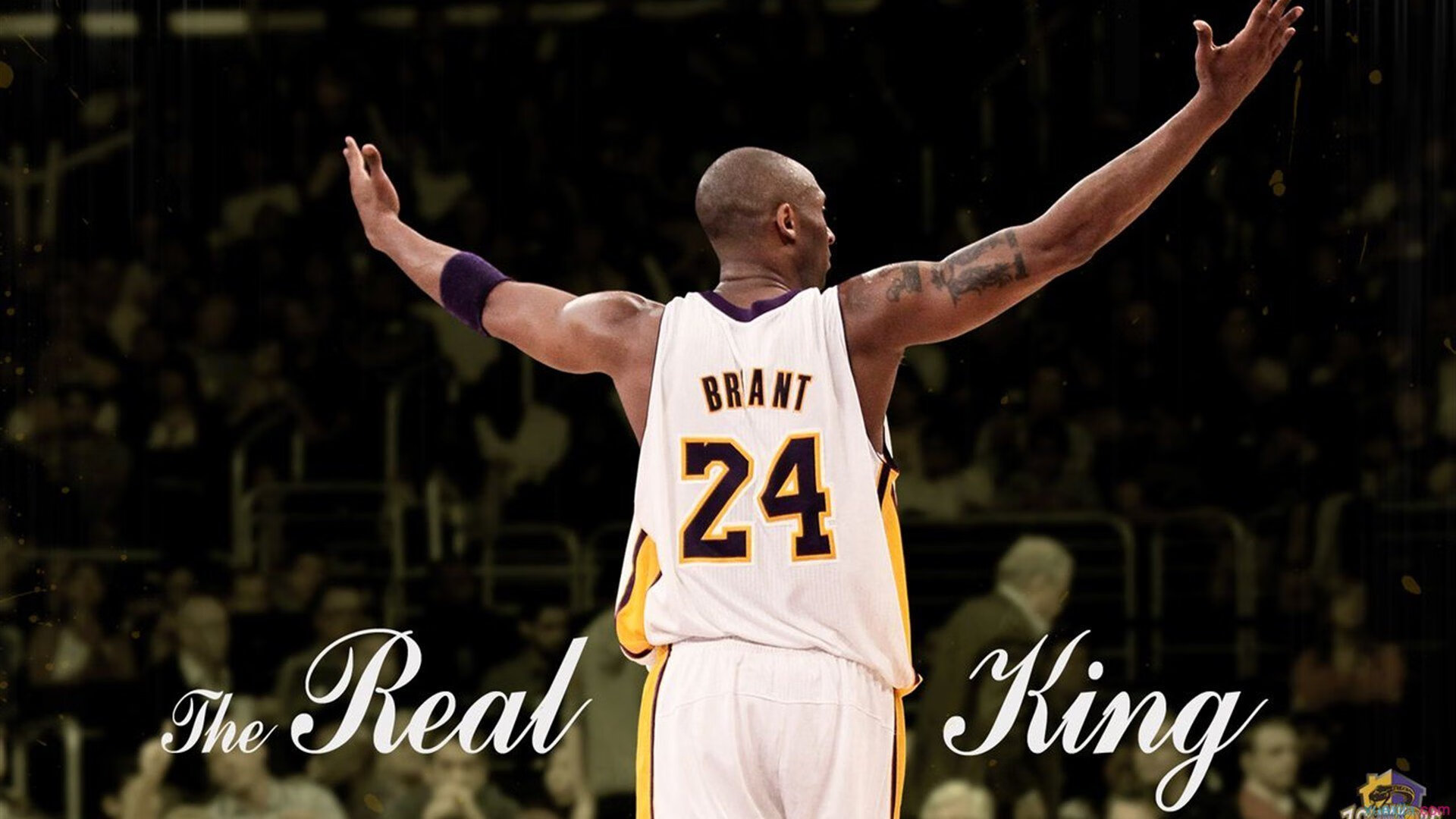 迈阿密国际签约新外援，增强防守实力，迈阿密国际队标